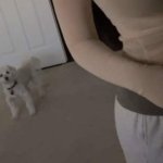 Sara Dobrik aka sara.dobrik Nude Leaks OnlyFans image 15